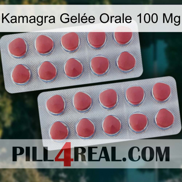 Kamagra Gelée Orale 100 Mg 19